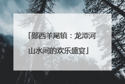 郧西羊尾镇：龙潭河山水间的欢乐盛宴