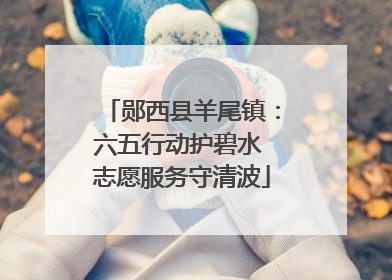 郧西县羊尾镇：六五行动护碧水 志愿服务守清波
