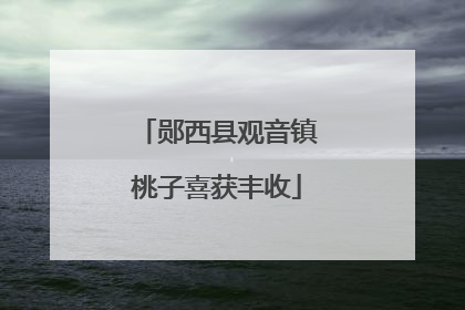 郧西县观音镇桃子喜获丰收