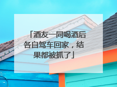 酒友一同喝酒后各自驾车回家，结果都被抓了