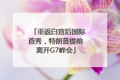 重返白宫后国际首秀，特朗普提前离开G7峰会