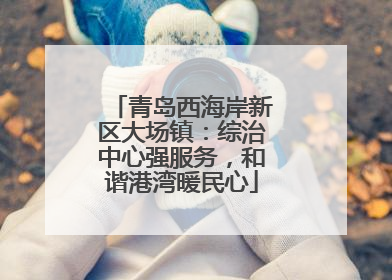 青岛西海岸新区大场镇：综治中心强服务，和谐港湾暖民心