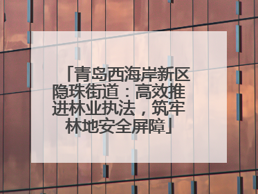 青岛西海岸新区隐珠街道：高效推进林业执法，筑牢林地安全屏障