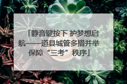 静音键按下 护梦想启航——道县城管多措并举保障“三考”秩序