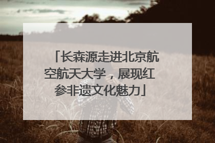 长森源走进北京航空航天大学，展现红参非遗文化魅力