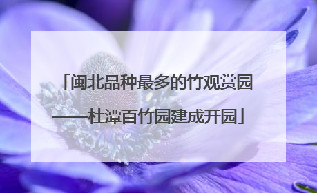 闽北品种最多的竹观赏园——杜潭百竹园建成开园