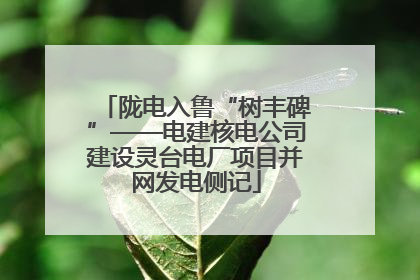 陇电入鲁“树丰碑”——电建核电公司建设灵台电厂项目并网发电侧记