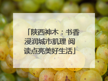 陕西神木：书香浸润城市肌理 阅读点亮美好生活