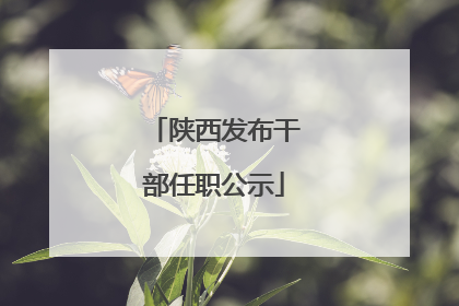 陕西发布干部任职公示