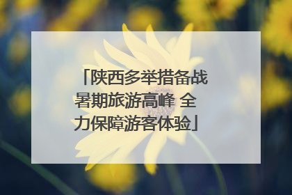 陕西多举措备战暑期旅游高峰 全力保障游客体验