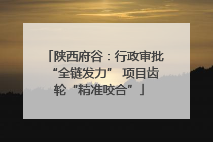 陕西府谷：行政审批“全链发力” 项目齿轮“精准咬合”