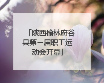 陕西榆林府谷县第三届职工运动会开幕