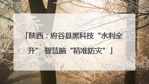 陕西：府谷县黑科技“水利全开” 智慧脑“精准防灾”