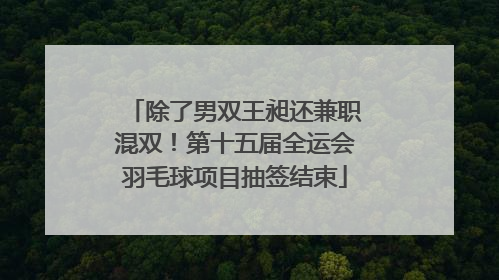 除了男双王昶还兼职混双！第十五届全运会羽毛球项目抽签结束