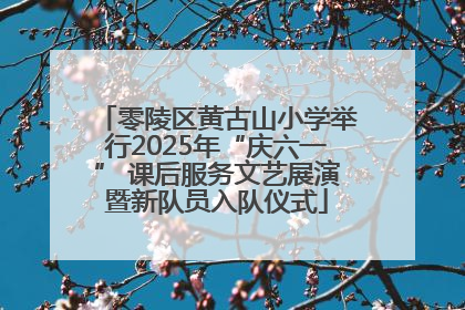 零陵区黄古山小学举行2025年“庆六一” 课后服务文艺展演暨新队员入队仪式