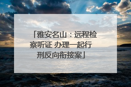 雅安名山：远程检察听证 办理一起行刑反向衔接案