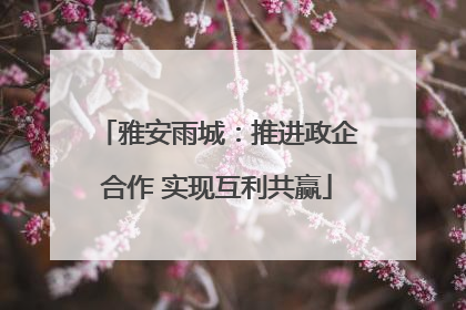 雅安雨城：推进政企合作 实现互利共赢