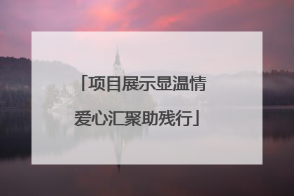 项目展示显温情 爱心汇聚助残行