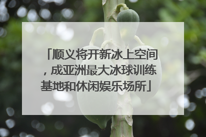 顺义将开新冰上空间，成亚洲最大冰球训练基地和休闲娱乐场所