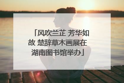 风吹兰芷 芳华如故 楚辞草木画展在湖南图书馆举办