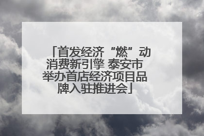 首发经济“燃”动消费新引擎 泰安市举办首店经济项目品牌入驻推进会