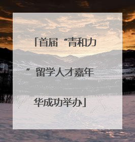 首届“青和力”留学人才嘉年华成功举办