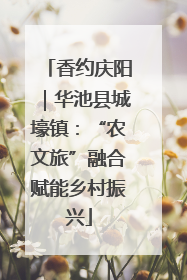 香约庆阳｜华池县城壕镇：“农文旅”融合赋能乡村振兴