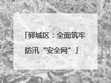 驿城区：全面筑牢防汛“安全网”
