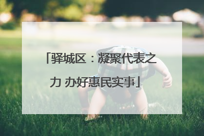 驿城区：凝聚代表之力 办好惠民实事