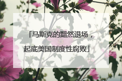马斯克的黯然退场，起底美国制度性腐败