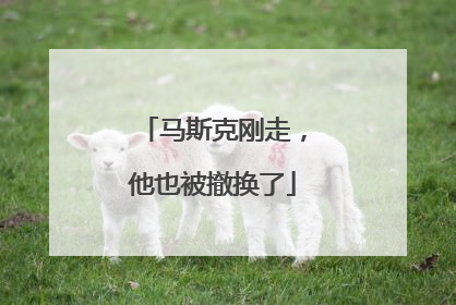 马斯克刚走，他也被撤换了