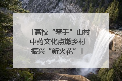 高校“牵手”山村 中药文化点燃乡村振兴“新火花”