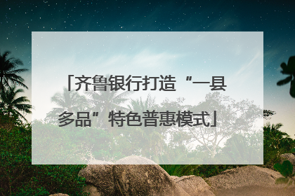 齐鲁银行打造“一县多品”特色普惠模式