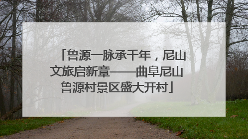 鲁源一脉承千年，尼山文旅启新章——曲阜尼山鲁源村景区盛大开村