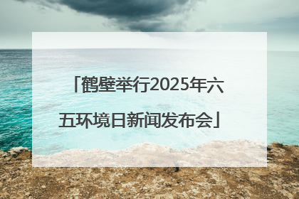鹤壁举行2025年六五环境日新闻发布会