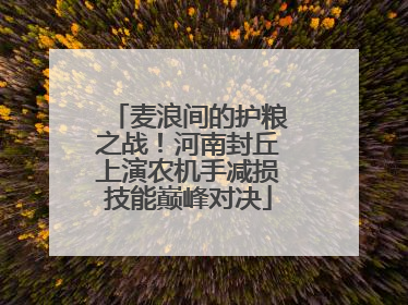 麦浪间的护粮之战！河南封丘上演农机手减损技能巅峰对决