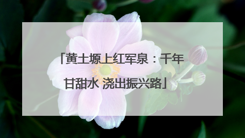 黄土塬上红军泉：千年甘甜水 浇出振兴路