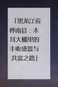 黑龙江省桦南县：木耳大棚里的丰收盛景与共富之路