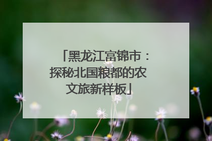 黑龙江富锦市：探秘北国粮都的农文旅新样板