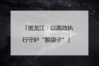 黑龙江：以高效执行守护“粮袋子”
