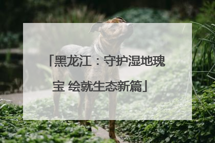 黑龙江：守护湿地瑰宝 绘就生态新篇