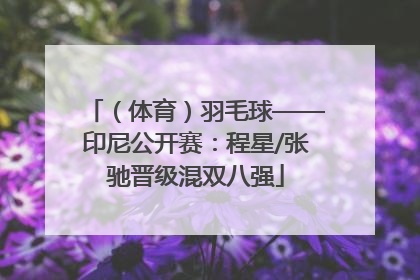 （体育）羽毛球——印尼公开赛：程星/张驰晋级混双八强