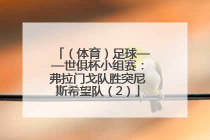 （体育）足球——世俱杯小组赛：弗拉门戈队胜突尼斯希望队（2）