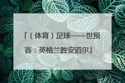 （体育）足球——世预赛：英格兰胜安道尔