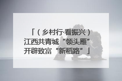 （乡村行·看振兴）江西共青城“领头雁”开辟致富“新稻路”
