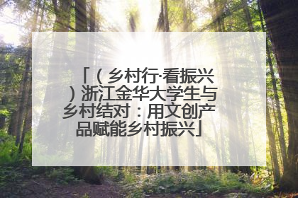 （乡村行·看振兴）浙江金华大学生与乡村结对：用文创产品赋能乡村振兴