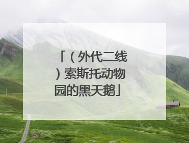 （外代二线）索斯托动物园的黑天鹅