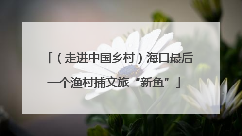 （走进中国乡村）海口最后一个渔村捕文旅“新鱼”