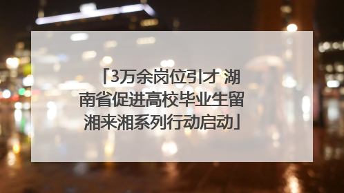 3万余岗位引才 湖南省促进高校毕业生留湘来湘系列行动启动