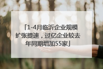 1-4月临沂企业规模扩张提速，过亿企业较去年同期增加55家